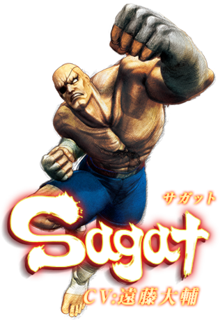 ウルトラストリートファイターⅣ　サガット　CV:遠藤大輔