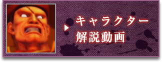 キャラクター解説動画