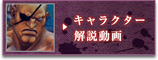 キャラクター解説動画