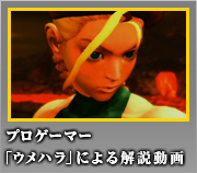キャミィ　プロゲーマー「ウメハラ」による解説動画