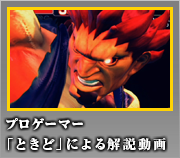 豪鬼 プロゲーマー「ときど」による解説動画