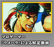 リュウ プロゲーマー「ウメハラ」による解説動画