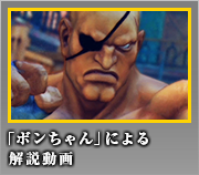 サガット「ボンちゃん」による解説動画